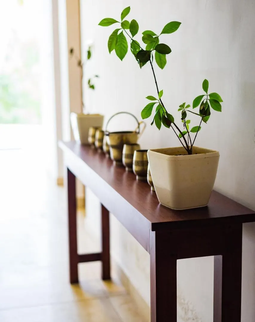 Mekosha Ayurveda Spa Suites Retreat & Resort Attingal
