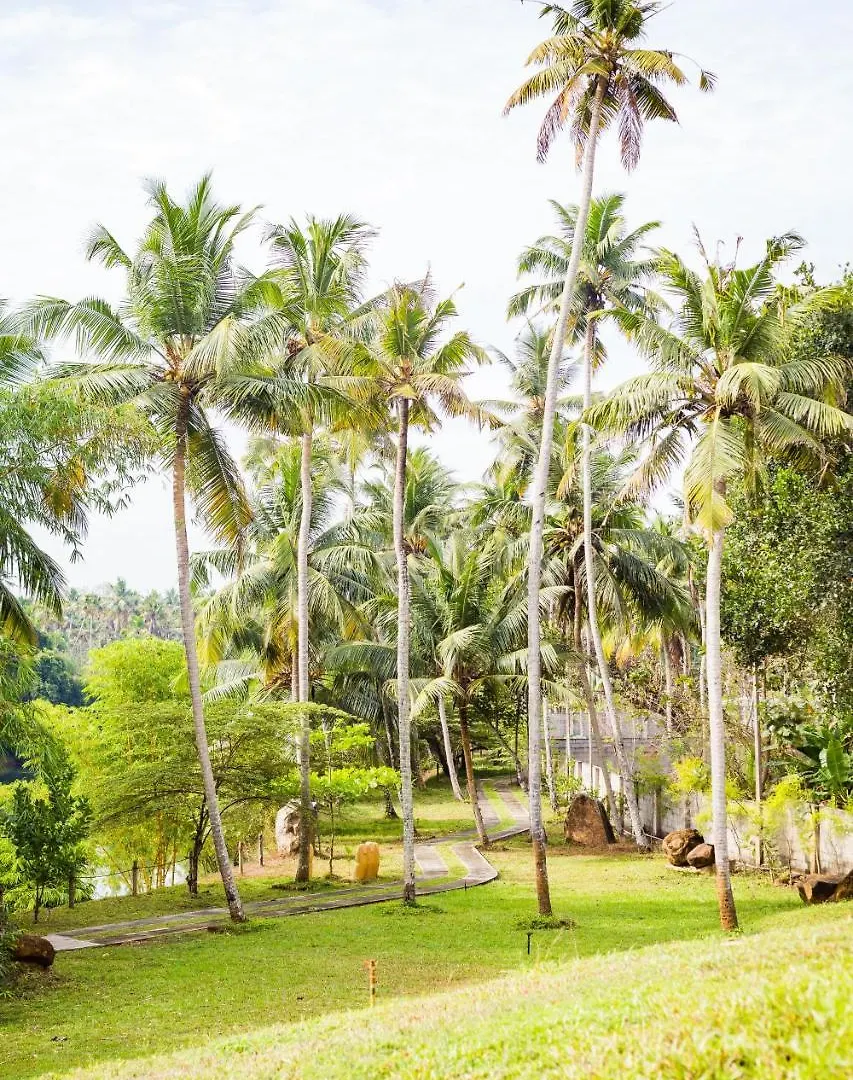 Mekosha Ayurveda Spa Suites Retreat & Resort Attingal India