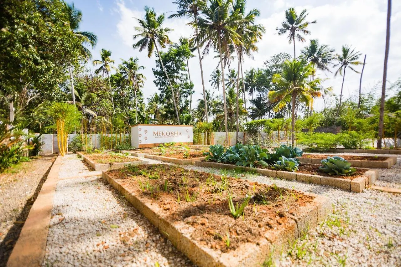 Mekosha Ayurveda Spa Suites Retreat & Resort Attingal India